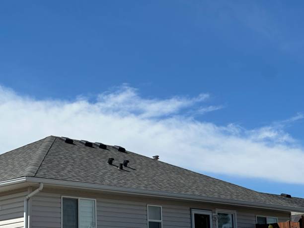 Best Skylight Installation and Repair  in South Monrovia Island, CA